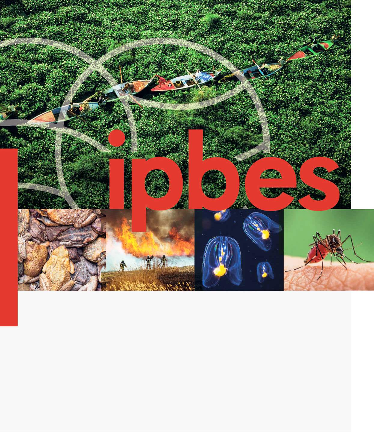 IPBES