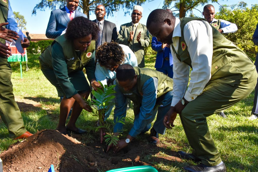 Planting by DG Nema